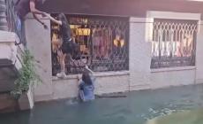 Un'altra gondola si ribalta, turisti in acqua in un canale di Venezia - Video