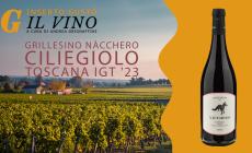 Grillesino N&agrave;cchero Ciliegiolo Toscana Igt '23