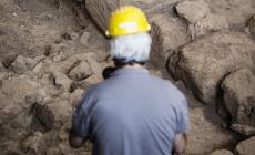 Scoperto un coccodrillo preistorico che divorava i dinosauri