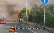 Incendio in Salento vicino a case vacanze, oltre cento evacuati