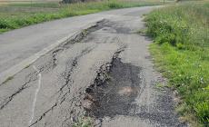 In pessime condizioni il tratto di food valley bike tra Polesine e Vidalenzo - Foto