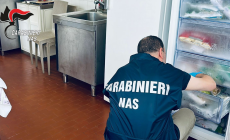 Verifiche a tutela degli anziani. Trovate irregolarità in due case famiglia, una a Parma e un'altra in montagna: multe ai titolari
