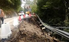 Cede il sostegno della strada del Bosco a Centrale: senso unico alternato con semaforo