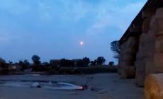 Luce misteriosa sulla Bassa
