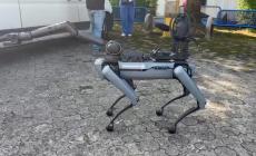 Salone del camper, in servizio tra i padiglioni il cane robot artificiere: può ispezionare pacchi e borse “sospette” - Video