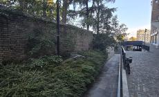 Cartoline di maleducazione da Parma: monumento a Bottego, borgo Romagnosi (con carrello della spesa) e via Terracini - Le foto