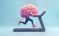 Tieni il corpo allenato,  il cervello ti ringrazier&agrave;   
