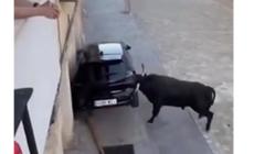 Toro distrugge un'auto durante la festa patronale- Video