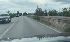 Ponte sul Taro, le erbacce fanno paura - Video 
