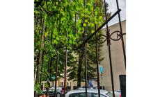 Vandalismo al Parco Ducale