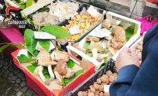 Funghi "fuorilegge" in Val Taro: multa e diffida al titolare di un'ortofrutta 