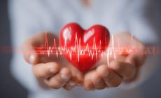 Arterie al microscopio: l'ecg «modificato» che intercetta le placche coronariche