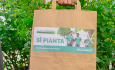 KilometroVerdeParma torna in piazza con piante gratis e lezione sulle api