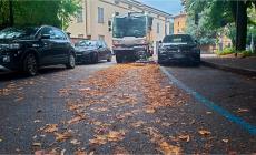 Raccolta foglie a Parma: 15 squadre di spazzamento di cui due operative di notte. 60 operatori mobilitati