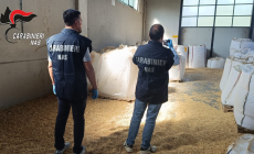 Topi, escrementi e abbandono:  i Nas di Parma sequestrano 24mila chili di cereali e pasta in Val D’Enza. Sospesa l'attività