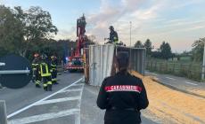 Trattore si ribalta vicino a Fontevivo: vigili del fuoco al lavoro, mangimi e mais occupano la carreggiata 