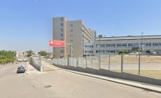 'Infastidiva i pazienti', legata e sedata muore in ospedale

