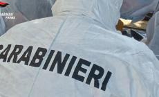 Aveva svaligiato un appartamento e si era ferito nel tentativo di smurare la cassaforte. 33enne straniero identificato grazie al dna 
