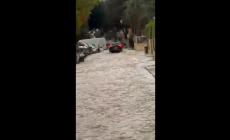 Parmigiani nel nubifragio di Ibiza: "Abbiamo visto un muro d&rsquo;acqua salire inesorabile da tutte le strade del centro, abbiamo raggiunto le auto a nuoto" - Video