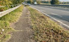 La pista ciclabile del Campus "è molto pericolosa" - Le foto