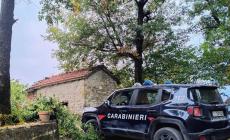 Solignano, 64enne precipita mentre taglia un albero e muore sul colpo