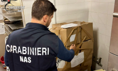 I Nas sequestrano 60 chili di ingredienti per la pizza. Funghi porcini irregolari, multa da 4mila euro per un e-commerce 