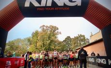 Tutti alla Parma Marathon: circa seimila i partecipanti - Foto e vincitori