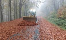 Lagdei, mezzi della Provincia in assetto anti-neve per spalare le foglie