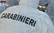 Rapina violenta in una casa a Fontevivo: ladro individuato grazie alle tracce di dna lasciate sulla mascherina