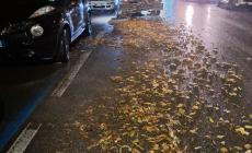 Raccolta delle foglie in citt&agrave;, Iren: "15 squadre al lavoro, di cui due notturne"