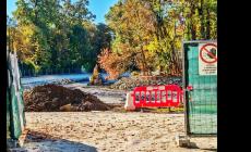 Ruspa al lavoro nel laghetto del parco Ducale