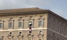 Parmigiani all'Angelus del Papa in piazza San Pietro - Video