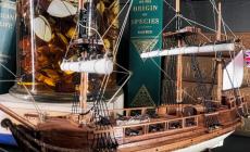 A Parma il primo Museo di Storiografia naturalistica in Italia