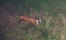 Il Cuore selvaggio dell'Appennino Parmense
