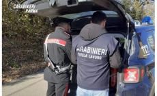 Controlli nei cantieri a Parma, trovato un lavoratore "in nero" e riscontrate violazioni in materia di sicurezza: denunciato il titolare, attività sospesa