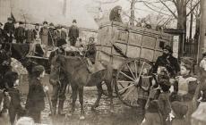 Dalle valli del Taro e del Ceno al mondo con scimmie, istrici, cammelli, dromedari e... orsi
