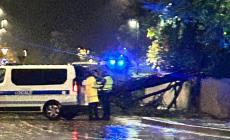 Maltempo: un albero cade in  via Montanara - Le foto