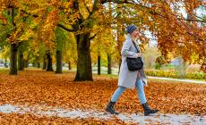 Camminare   mezz'ora  al giorno aiuta il cuore


