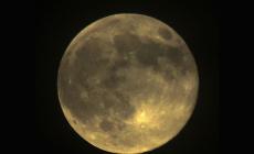 Anche a Parma con il naso all'ins&ugrave; per lo spettacolo della Luna del Castoro