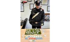 In auto a Sala Baganza con 19 dosi di cocaina, nell'hotel dove alloggiava altre 58: arrestato un 26enne - Video