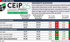 I prezzi dell'energia: i dati del Ceip 
