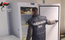 Oltre 11mila euro di multe per irregolarit&agrave; igienico-sanitarie nei locali di ristorazione a Parma, in Valtaro e nella Bassa 