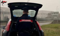 Torrile, tre furti in attivit&agrave; commerciali e in un'abitazione: denunciato 26enne 