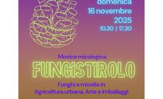 "Fungistirolo", oggi la mostra micologica in parco Bizzozzero