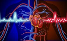 Trattare il cuore «stanco»