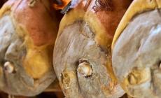 Tutela della Dop: il Consorzio del Prosciutto di Parma vince a Malta e in Brasile