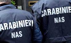 I Nas di Parma sequestrano 3.856 confezioni di cosmetici irregolari. Multato un magazzino all'ingrosso
