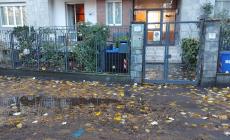 Via Pizzi a Parma, le (tante) foglie fanno paura