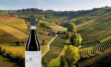 Ca&rsquo; del Baio Barbaresco &laquo;Autinbej&raquo; 2022: un rosso elegante, al naso e al sorso, fruttato e intenso