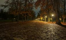 "Parco Ducale, molti lampioni spenti": le foto del lettore Massimo Mari 